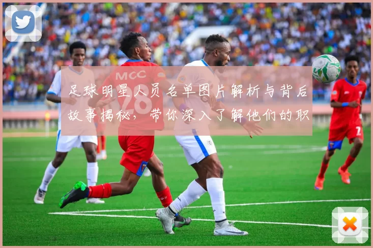 足球明星人员名单图片解析与背后故事揭秘，带你深入了解他们的职业生涯与成就