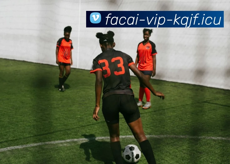 爱游戏体育注册平台生态图